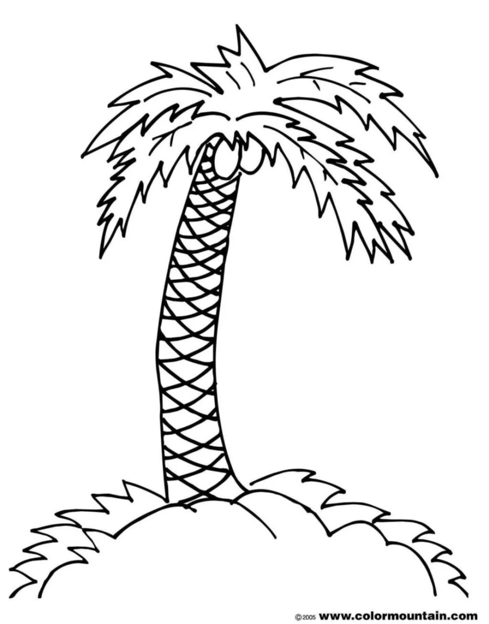 drzewo, palma