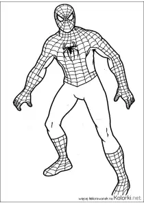 superbohater, Spiderman
