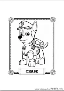 pies, psi patrol, Chase