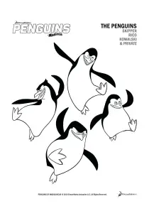 pingwiny Madagaskar