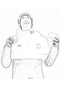 skoki narciarskie, Kamil Stoch