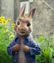 Królik Piotruś