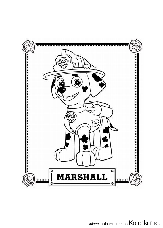 dalmatyńczyk, pies, patrol, marshall