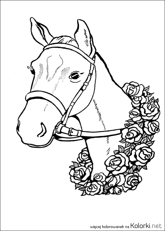 koń, zwycięzca, wyścigi konne