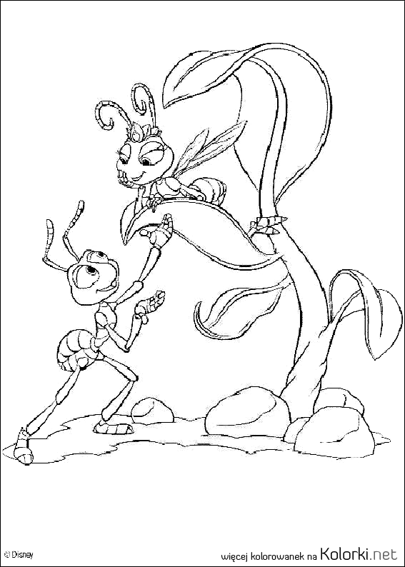 księżniczka, mrówki, kwiat, miłość, Ata, roślina