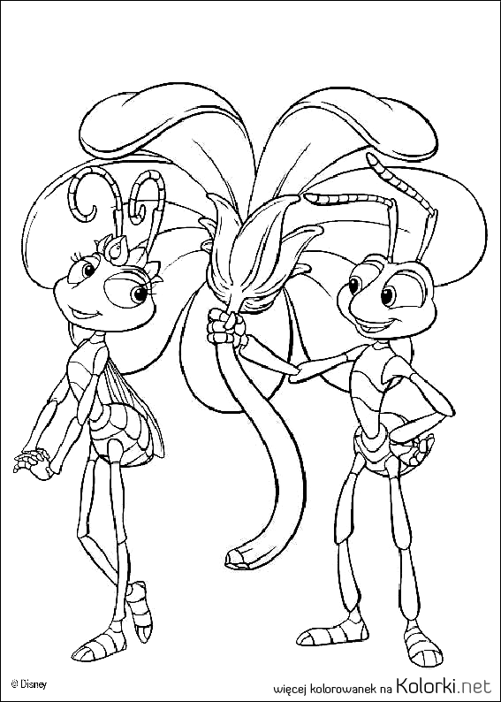 księżniczka, mrówki, kwiat, miłość, Ata