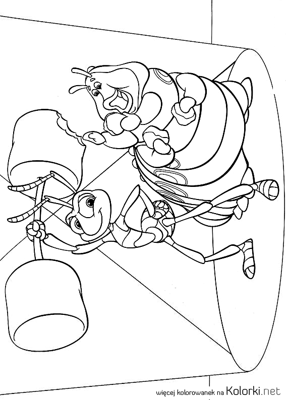 mrówka, Flik, gąsienica