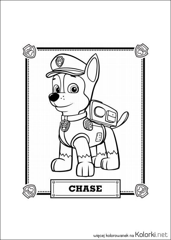 pies, psi patrol, Chase