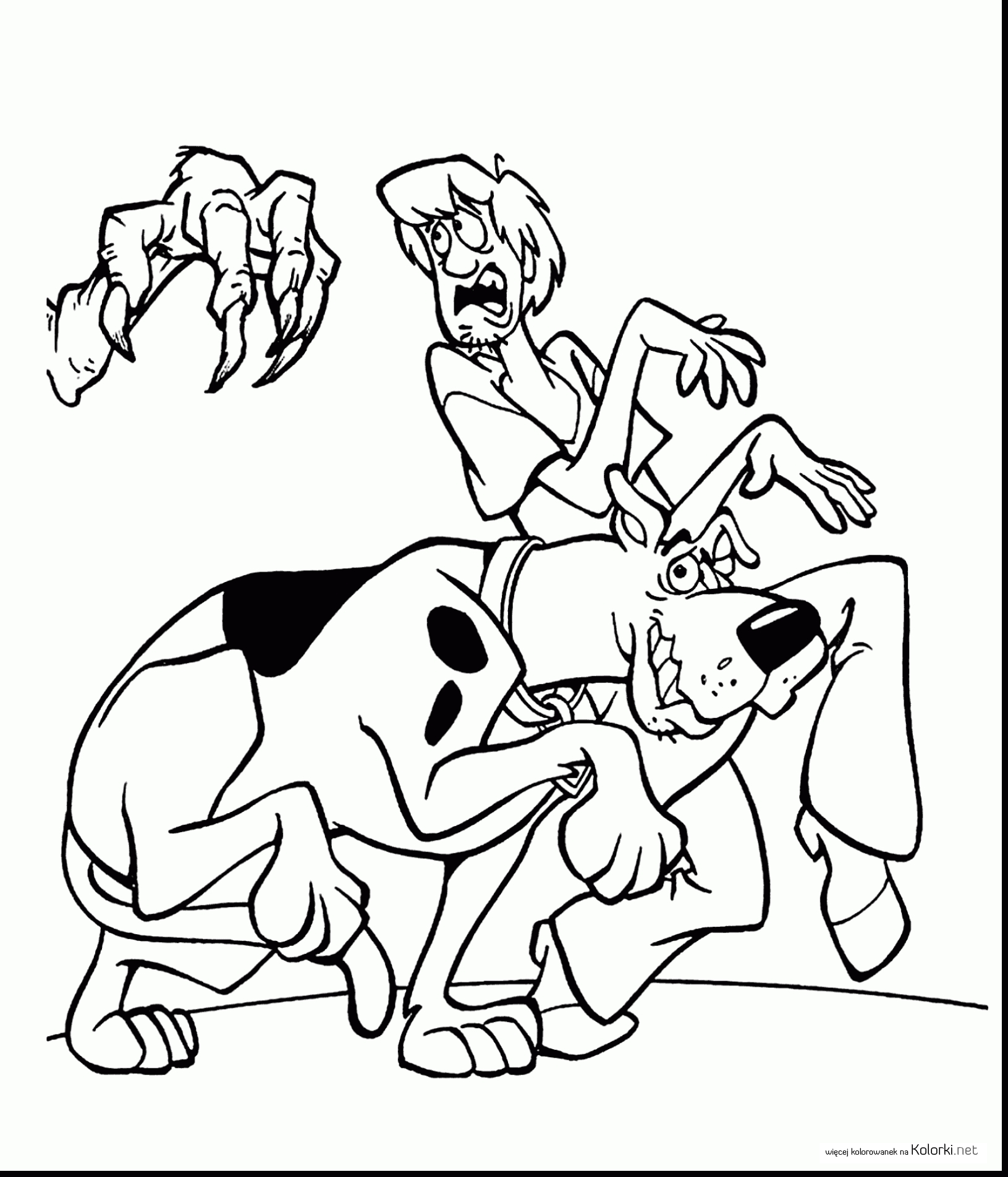 pies, scooby doo, kudłaty, łapa