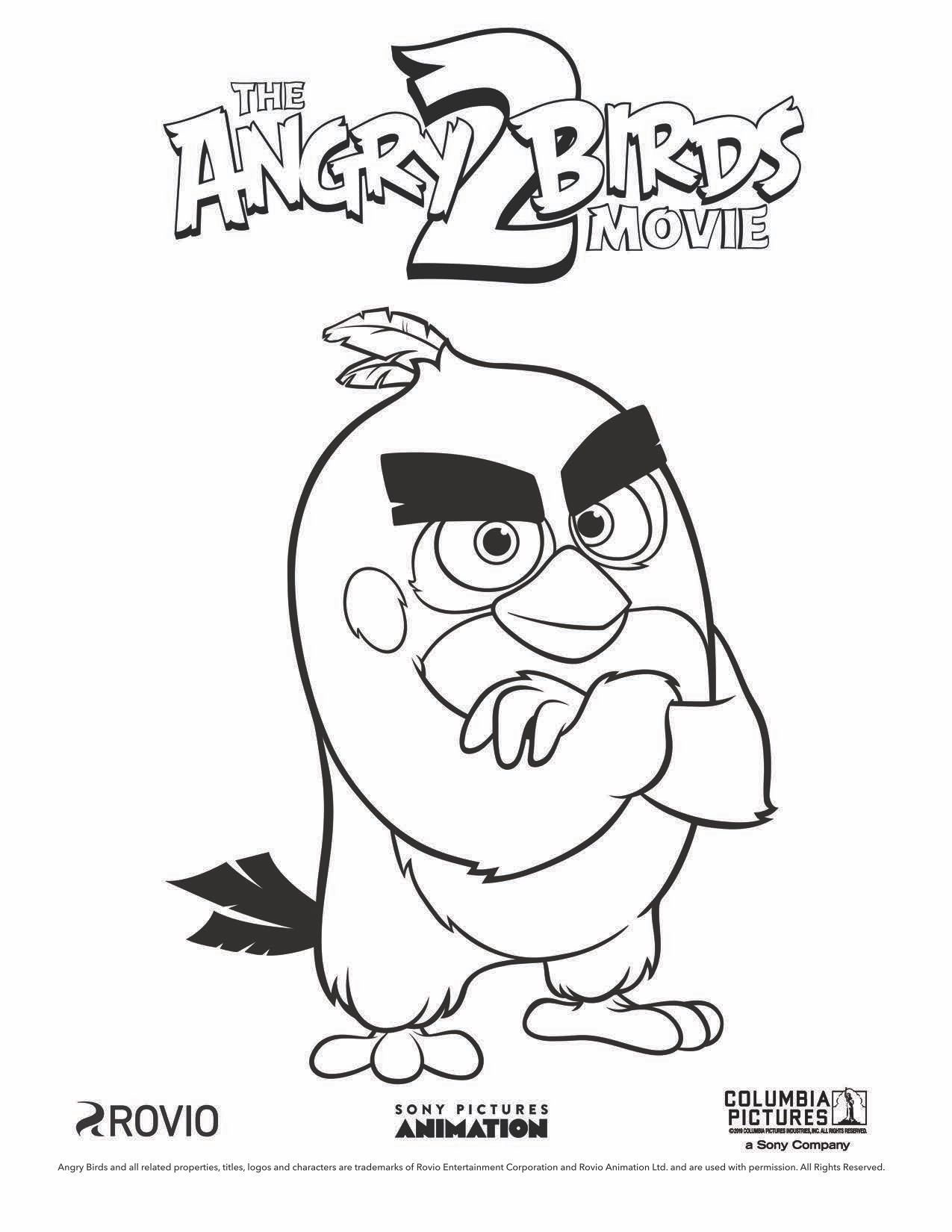 ptak, angry birds, Chuck