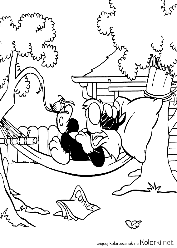 Sylwester, sen, hamak, odpoczynek