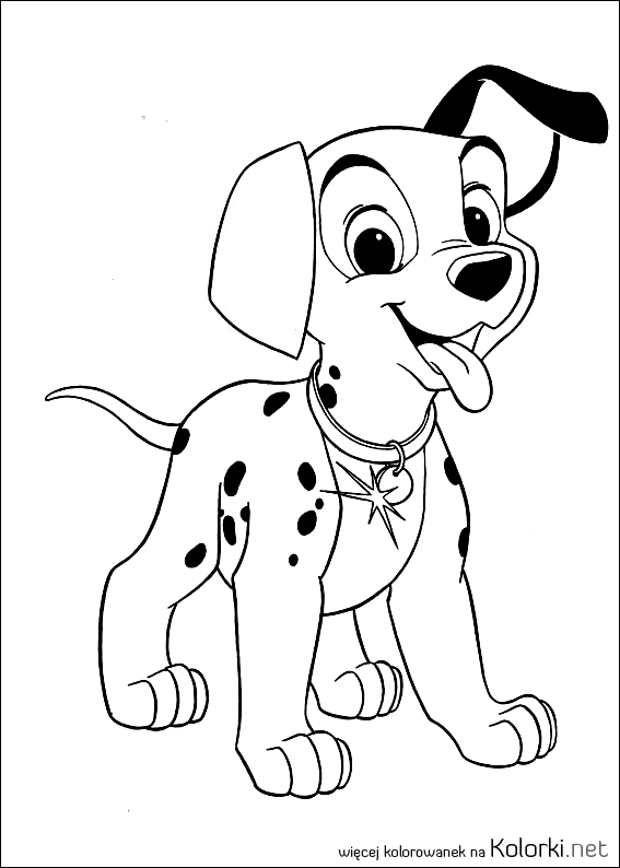 szczeniak, dalmatyńczyk