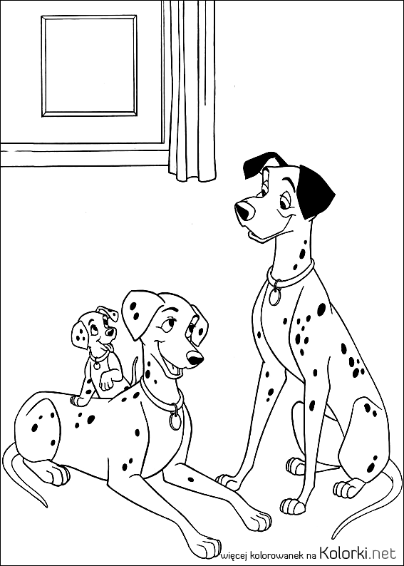 szczeniak, dalmatyńczyki