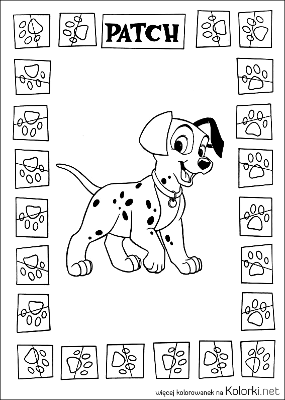 szczeniak, Patch, piesek