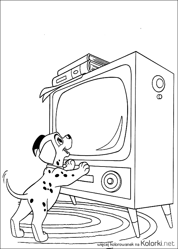 szczeniak, telewizor