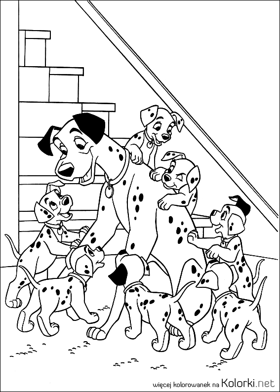 szczeniaki, dalmatyńczyki