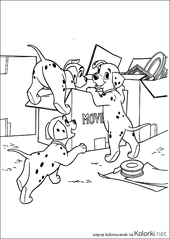 szczeniaki, pudełka, zabawa, bałagan