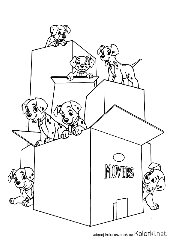 szczeniaki, pudełka