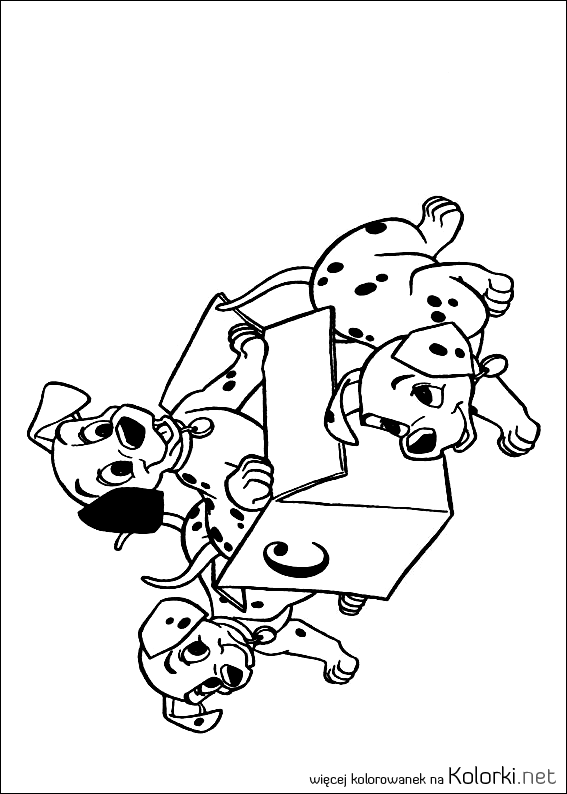 szczeniaki, pudełko