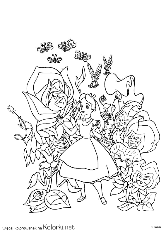 zwierzęta, Alicja, motyle, rośliny